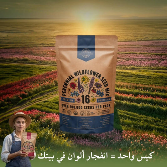 أسهل طريقة تخلي حديقتك تزهر